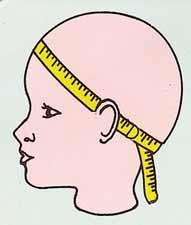 AAll About Measuring the wig size.