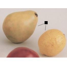 Fruit