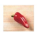 B1372- 4 Chilli Knobs 3 x 7.75cm