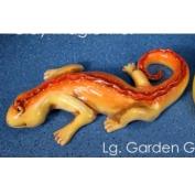 CLM3213-Long Gecko 47x24cm