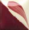 CN083S-  Dark Wine (Get 2 for the price of 1)