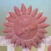 D1533-Happy Sun Face 19cm