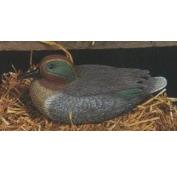 D551-Teal Duck 25cm