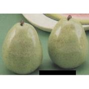 DM1805-Pear Salt & Pepper with stoppers 8cmT