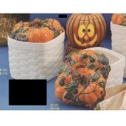 DM1911A-Pumpkin with Blackberries X Large Canister 17cmW 25cmH