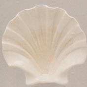 DM2028-Shell 21cm