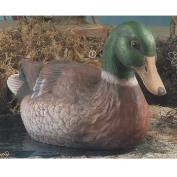 DM2080-Mallard Duck 15cm High