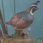 DM2081-Male Quail 18cm