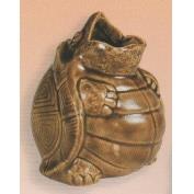 DM2286C-Turtle Rain Guage 10cm includes guage