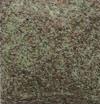 GS253 -4oz- Moss (Get 2 for the price of 1)