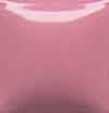IN1007-4oz- Carnation Pink (Get 2 for the price of 1)