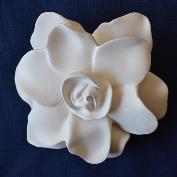 K786 Gardenia 10cm