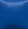 OS459-Duncan Bright Blue Acrylic Paint (Get 2 for the price of 1)