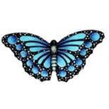 R1050-2 Butterflies  15 x 8cm