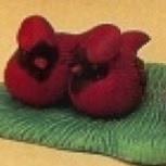R744A 2 Small Cardinals 4.5 x 2.75cm