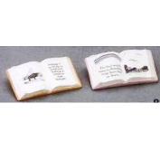 R818-Open Book Magnet 7 x 4.5cm