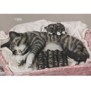 S1300-Nursing Cat with Kittens
