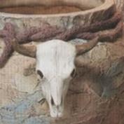S1938 -4Small Cow Skulls 8cm