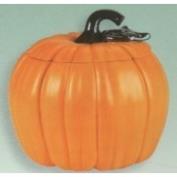 S227-Large Pumpkin 25cmW