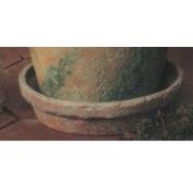 S2422 -Round Pot Tray 15cm Wide