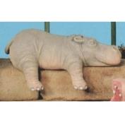 S2433-Hippo Shelf Sleeper 21cm