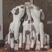 S2573-3 Howling Cows 23cm