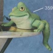 S3596-Large Climbing Frog 25cmW