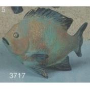 S3717-Fish Fry 21cm