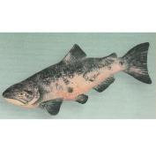 S3800- Chinook Salmon 22cm
