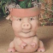 TL723-Medium Piggy Pot 13cm