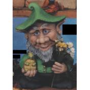 TL750B-Goodonoff Gnome with Turtle in Hand 40cm