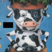 TL759-Integrity Cow Pot 26cm