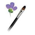 L7170-6 Royal Knight Filbert Art Paint Brush