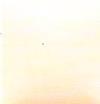 OS477-Duncan Chiffon Pink Acrylic Paint (Get 2 for the price of 1)