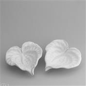 Anthurium White Bowl 13cm Wide