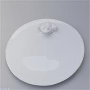 Frog Round Plate 26cm Wide