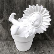 D1430-Sunflower Baby in Pot 22cm