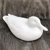 D447-Large Wild Mallard Duck 36cmL