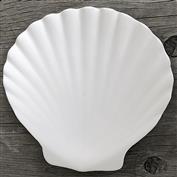 DM348-Shell Dish 16cmW