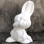 DM1995 -Barnyard Babies Bunny 12.5cm Tall