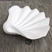 G2203-Shell Dish 21cmL