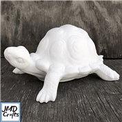 CPI 3254-Tortoise 27 x 14cm