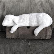 S2386-Sleeping Shelf Lamb 21cm