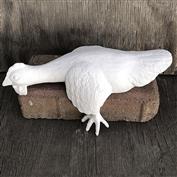 S2387-Sleeping Shelf Chicken 22cm