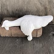 S2418 -Sleeping Shelf Chicken with Wing Down