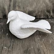 S1981-Dove Looking Forward 23cm