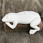 S2431 -Frog Shelf Sleeper 22cm Long