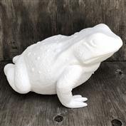 S1574-Large Toad 33cm Long