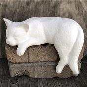 S2175-Cat Shelf Sleeper 19cm