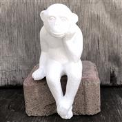 S2973 -Small Thinking Shelf Monkey 13cm